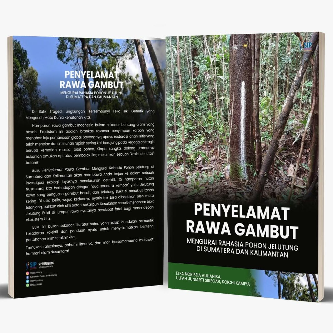 PENYELAMAT RAWA GAMBUT Mengurai Rahasia Pohon Jelutung di Sumatera dan Kalimantan